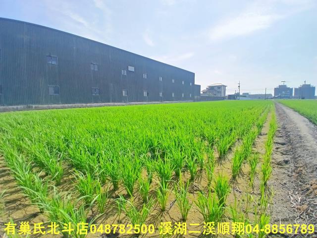 彰化農地-5