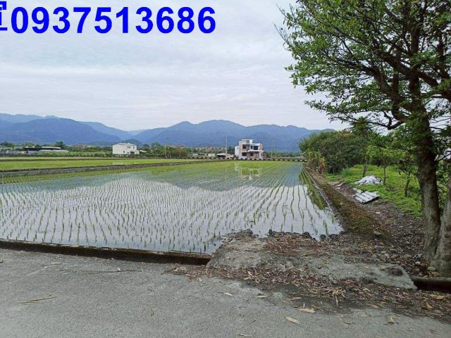 宜蘭三星農地-8