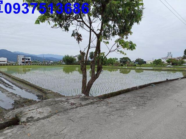 宜蘭三星農地-2