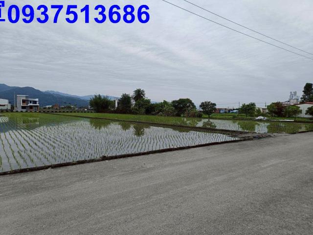 宜蘭三星農地-3