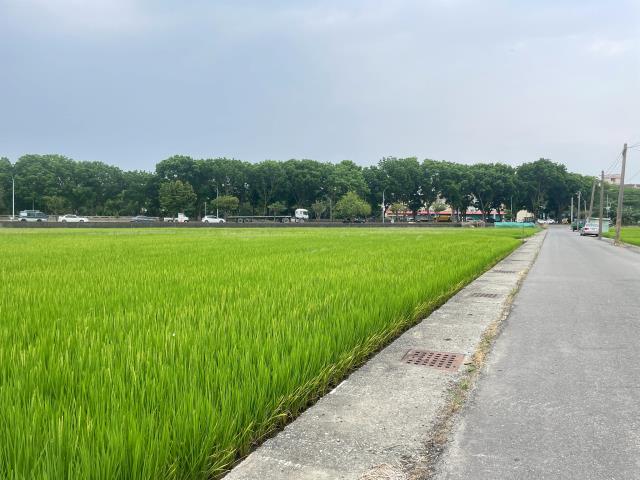 嘉義西區農地-3