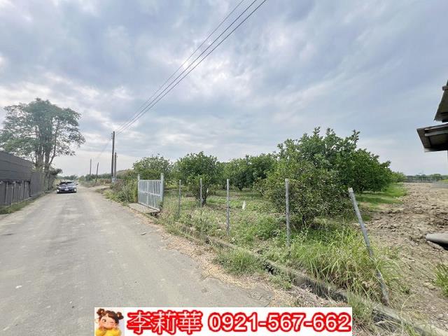 麻豆農地-8
