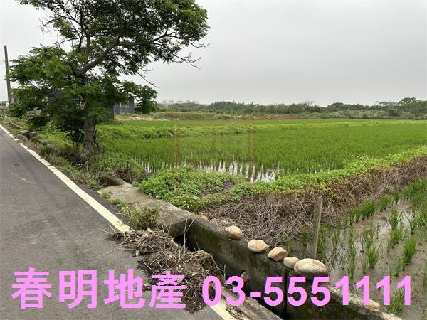 新豐農地-5