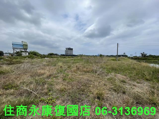 安南農地-4