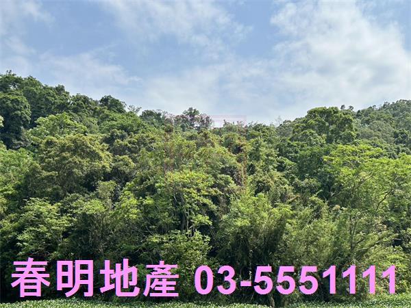峨眉建地-5