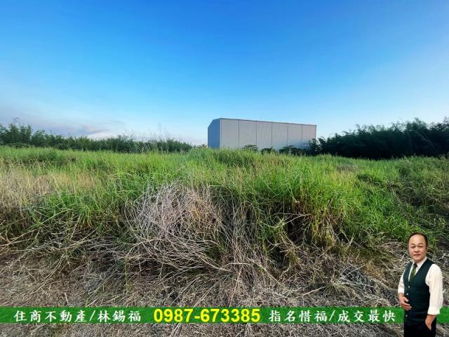 台南農地-10