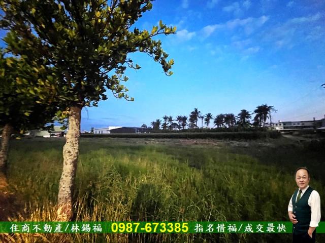 台南農地-3