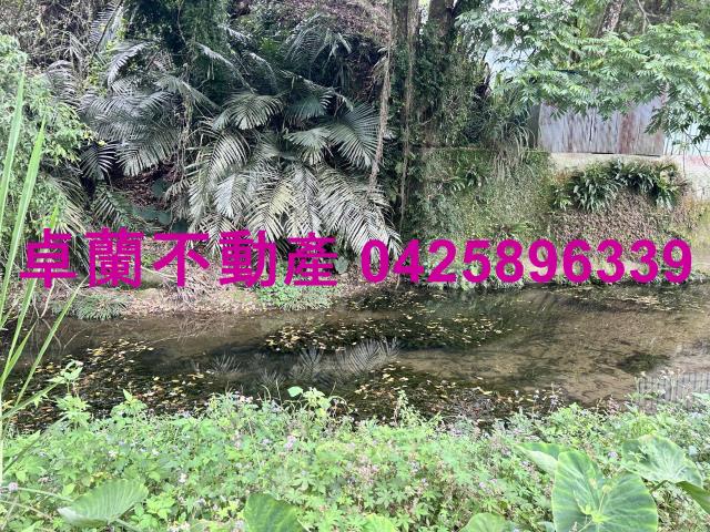 苗栗農地-1