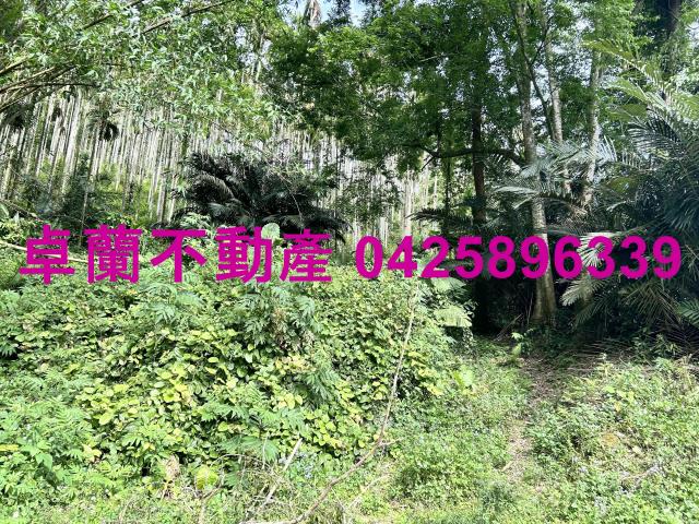 苗栗農地-7