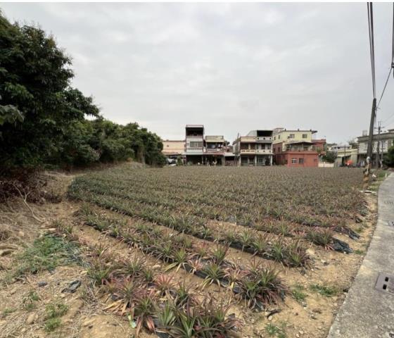 高雄建地-1