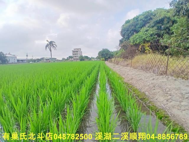 彰化和美農地-5