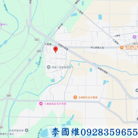 柳營法拍建地-4