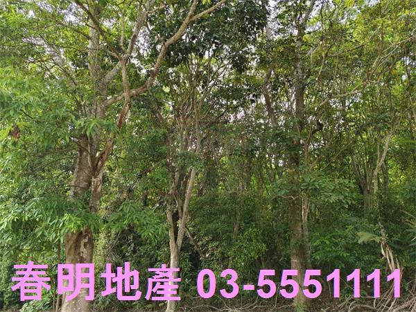 峨眉農地-1