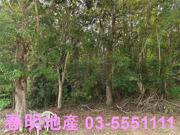 峨眉農地-4
