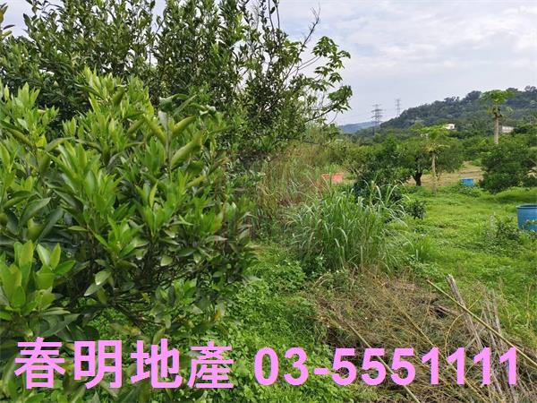 峨眉農地-5