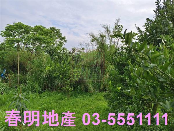 峨眉農地-6