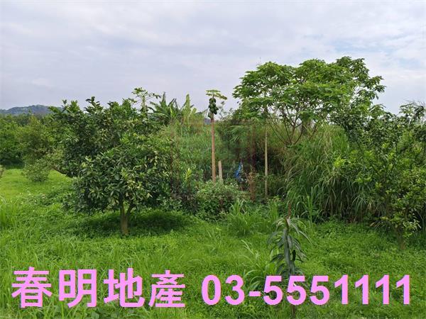 峨眉農地-7