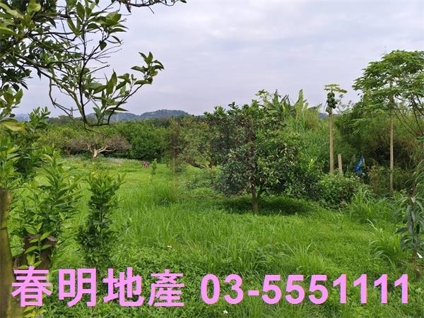 峨眉農地-8