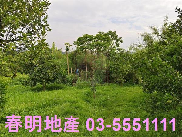 峨眉農地-9