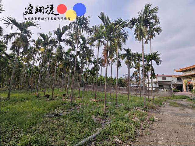 屏東農地-1