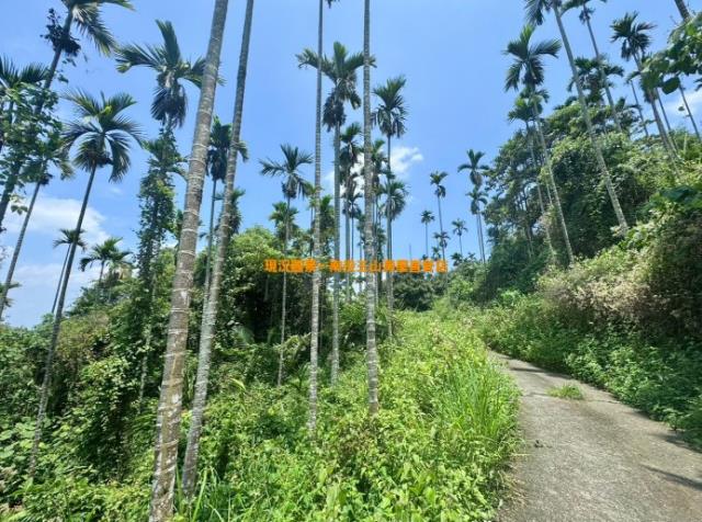 南投山坡地-4
