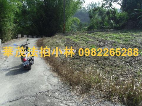 台南左鎮農地-1