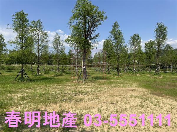 關西農地-1