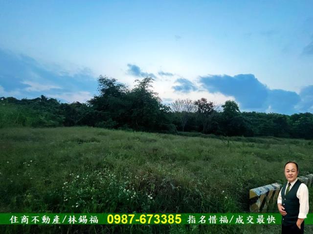歸仁農地-6
