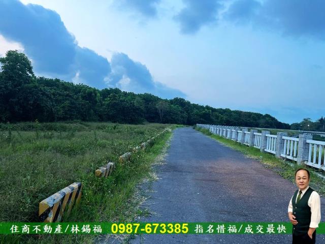 歸仁農地-8