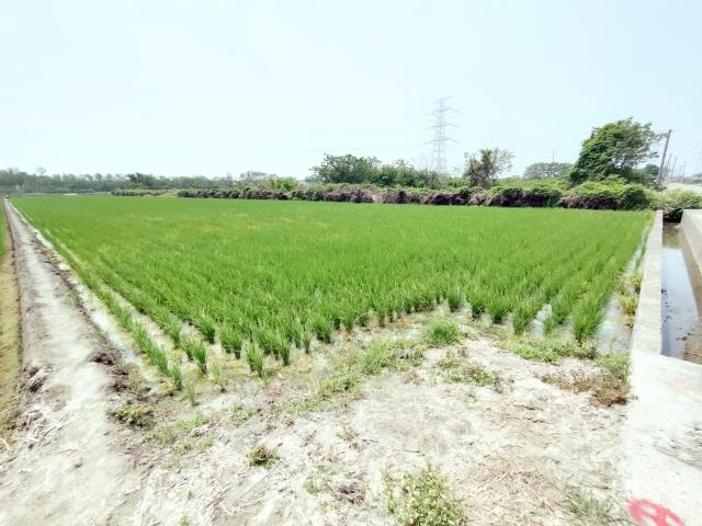 竹塘農地-11