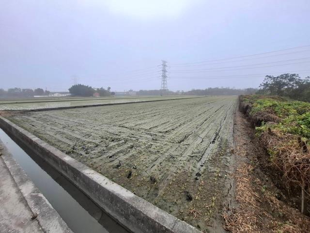 竹塘農地-14