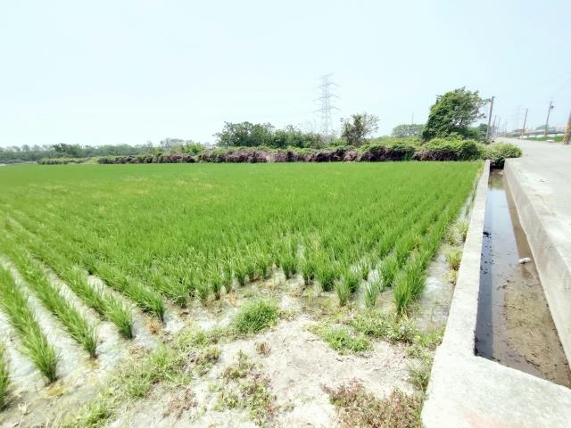 竹塘農地-1