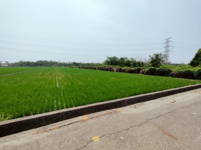竹塘農地-5