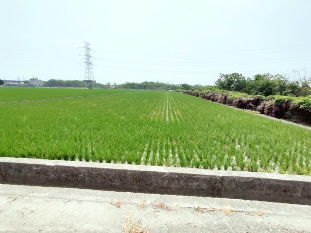竹塘農地-6