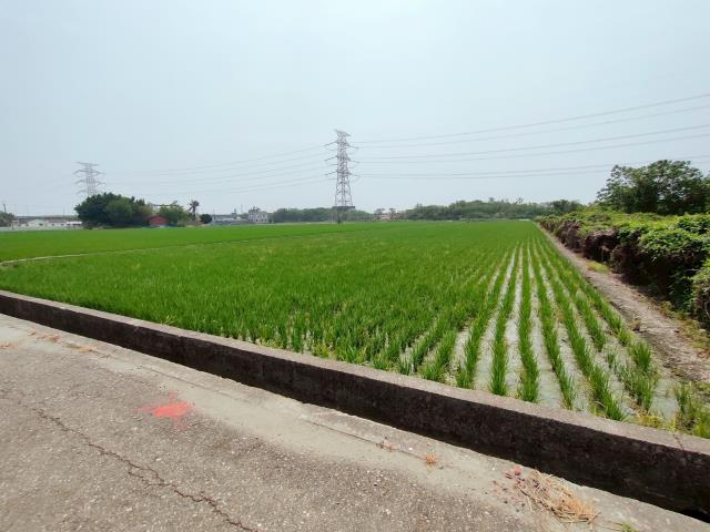 竹塘農地-7