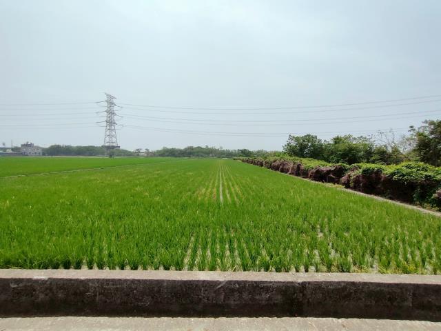 竹塘農地-8