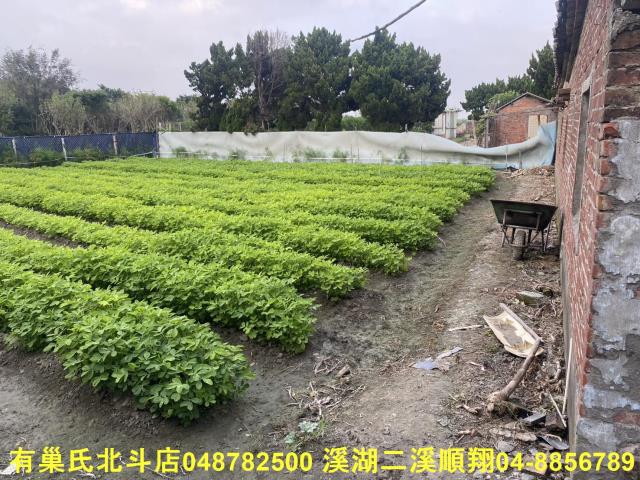 二林建地-7