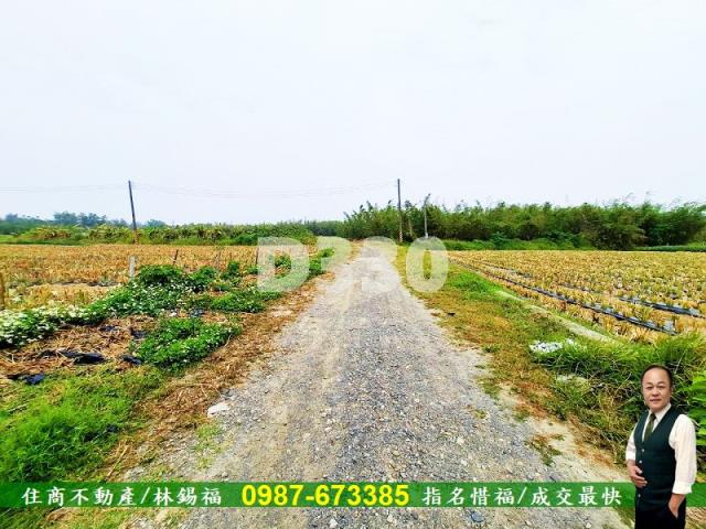 歸仁農地-3