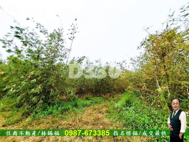 歸仁農地-8
