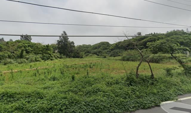 桃園觀音農地-3