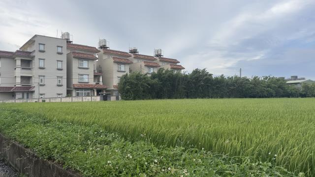 桃園中壢農地-3