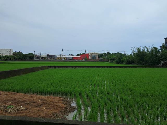 桃園蘆竹農地-1