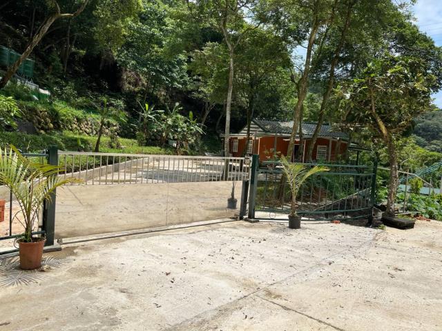 新竹關西山坡地-5