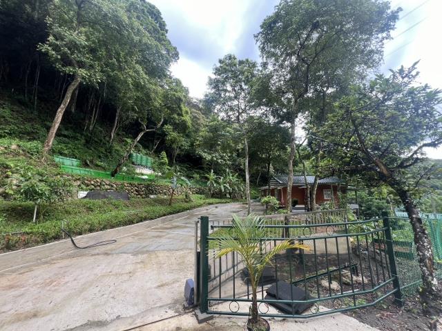 新竹關西山坡地-10