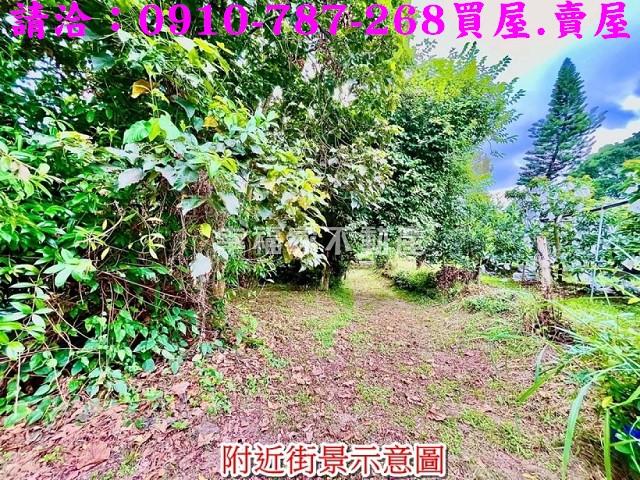 台南大內農地-11