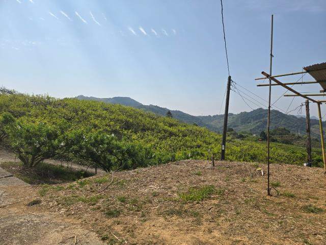 東勢農地-3