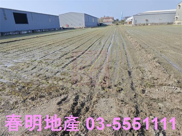 竹北農地-2