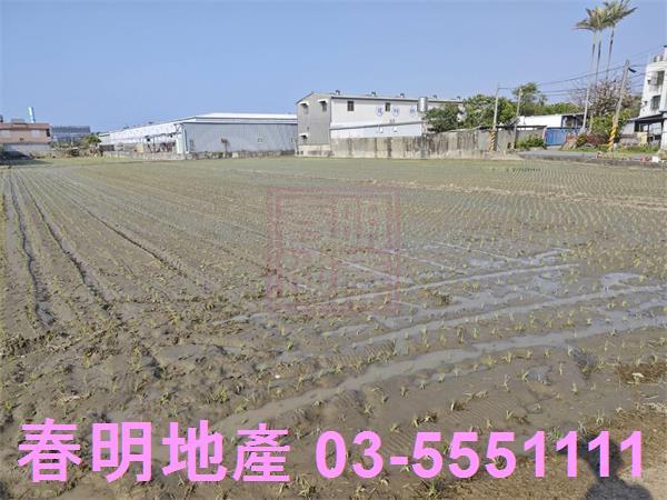 竹北農地-4