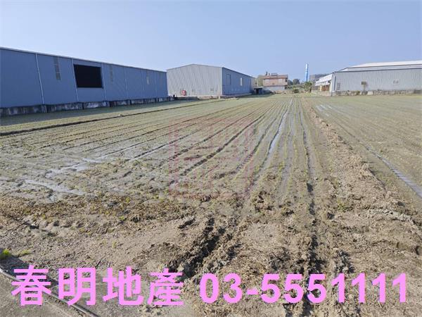 竹北農地-6