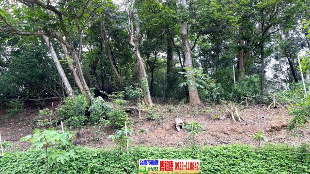 北埔休閒地-12